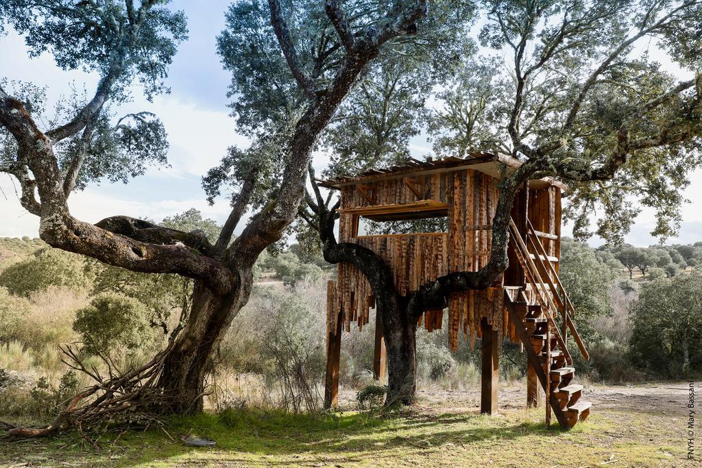 Eco-Lodge En La Reserva Privada Campanarios De Azaba - Proyecto De Conservacion Espeja Exterior photo